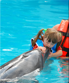 delfino-pet-therapy
