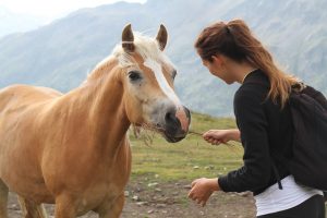 pet-therapy-cavallo
