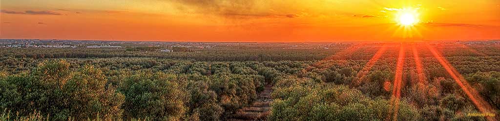 La morte faccia della stessa medaglia della vita