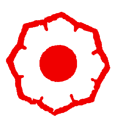 Campionati Italiani Esordienti B: c’è anche il Salento