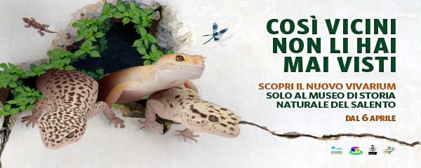 Calimera, s’inaugura il nuovo vivarium