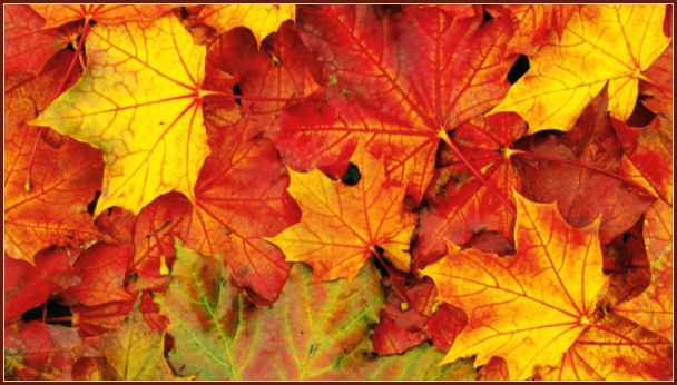 Primo giorno d’autunno ma sembra estate