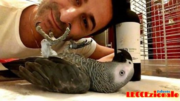 VIDEO- E Paquito canta “Kalinifta”