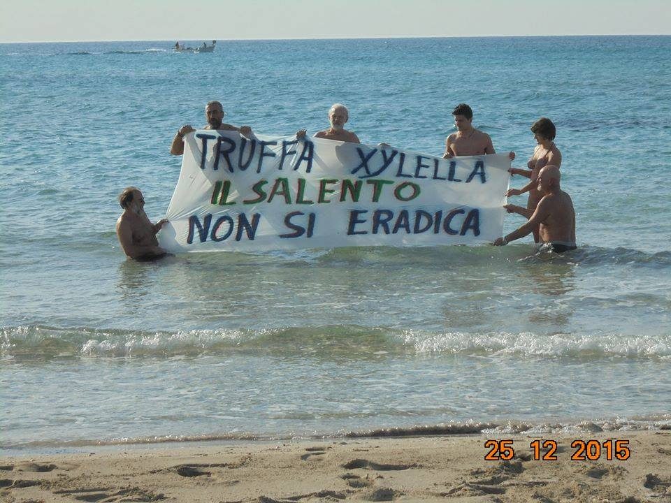 Un tuffo contro la Xylella