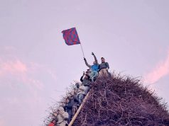 Fòcara, l’ultima fascina donata a Sant’Antonio Abate