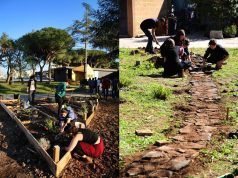 Alle ex Knos “Idee sul giardino” e “mercato contadino”