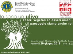 “Io sono un ulivo. Esseri vegetali ed esseri umani. Il paesaggio siamo anche noi”