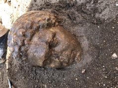 Archeologi Unisalento portano alla luce tre teste di marmo di età romana