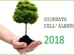 “Giornata Nazionale dell’Albero”, le iniziative a Lecce