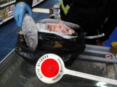 Via duca degli Abruzzi, ispezioni e sanzioni dalla Polizia Municipale