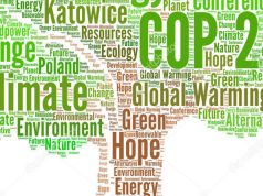 Clima, il messaggio del Liceo “Palmieri”