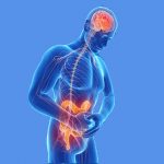 intestino-secondo-cervello