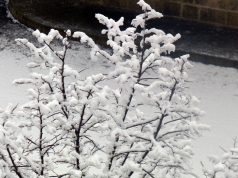 Lecce, la magia della neve tra disagi e stupore