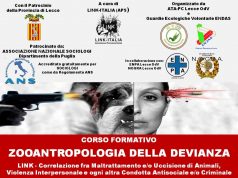 Abusi su animali e abusi su umani: complici nel crimine