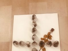 Fòcara di Novoli/ “Le rose” di Kounellis integre dopo atto vandalico