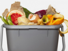 Raccolta differenziata, a Lecce migliora la qualità dell’umido