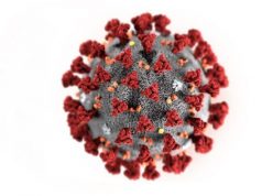 Contrasto alla diffusione del Covid19: cosa cambia a Lecce