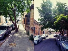 “Mettere in sicurezza l’albero pericoloso in via Sozy Carafa”