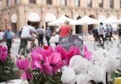 ANT, in Piazza Sant’Oronzo tornano i Ciclamini della solidarietà