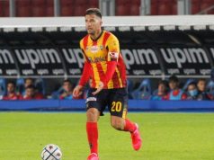 Cremonese, idea Pettinari