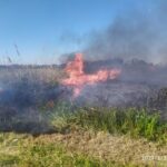 incendio Parco Rauccio 2