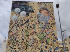 Street Art, altro murale di Collin Van Der Sluijs nel Quartiere Stadio