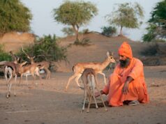 Yeast Photo Festival: in Puglia evento internazionale che unisce fotografia, cibo e arti visive