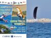 Kitefoil e Wingfoil: quando il vento diventa velocità